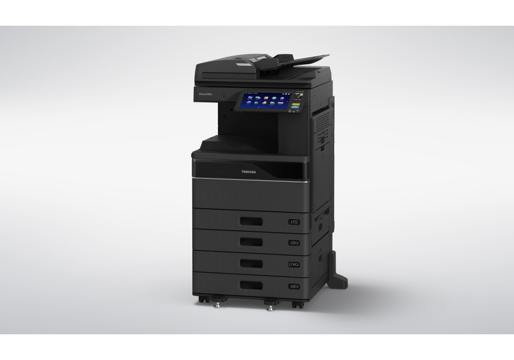 eS6528A RADF 4cst L LT