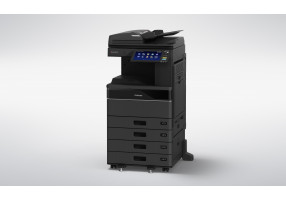 eS6528A RADF 4cst L LT